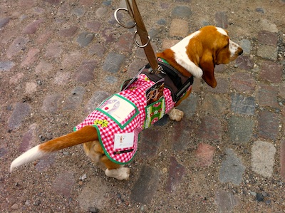 messehostess_wilma_dinkel Pfundweise Flyer verteilt und die Streicheleinheiten nahmen kein Ende. Kein Wunder, dass Wilma sich schon auf den nächsten Einsatz freut!